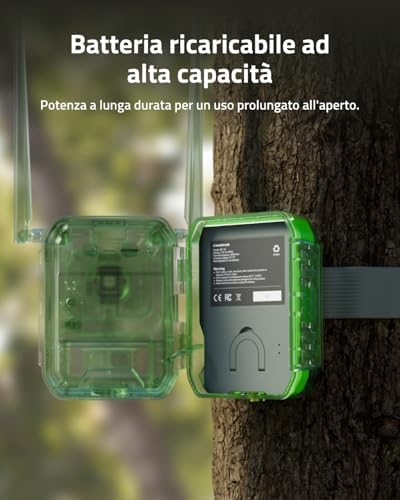 Batteria Camovue BP-10 ricaricabile