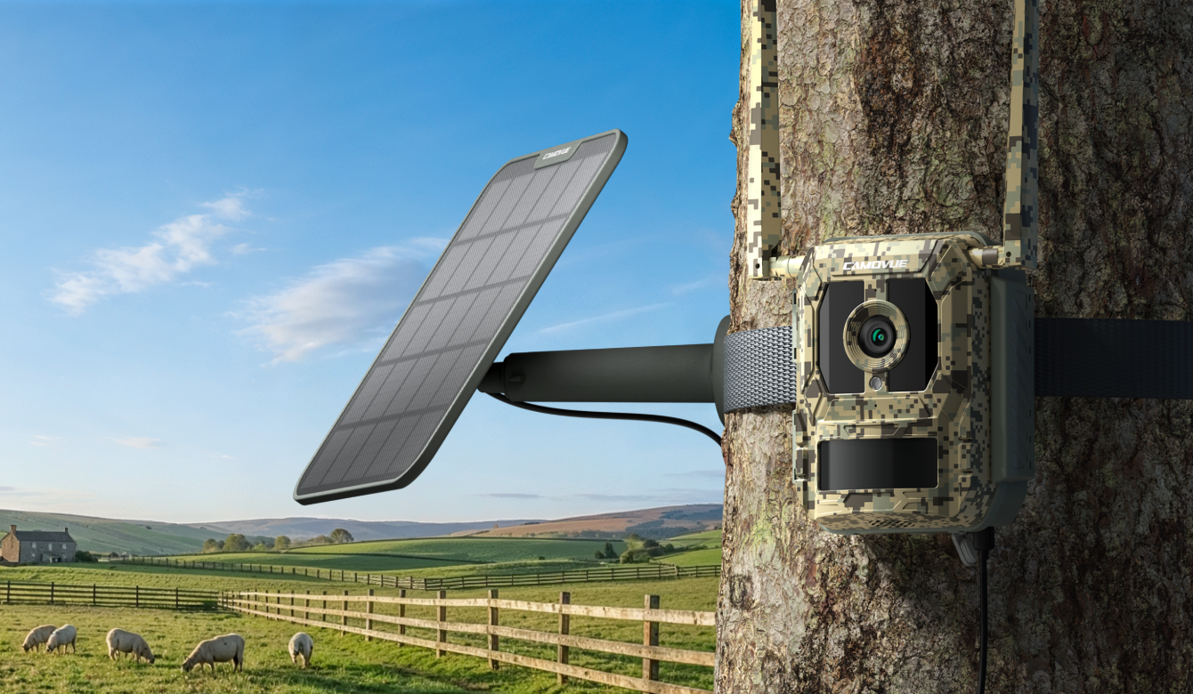 Reolink Talon Pro installata in un ambiente rurale
