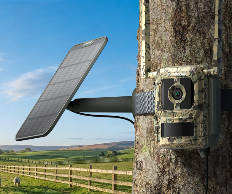 Reolink Talon Pro montata su un albero con pannello solare